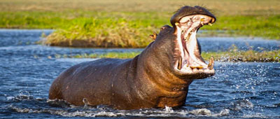 Attractions in Barberton