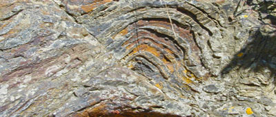 Barberton Geology