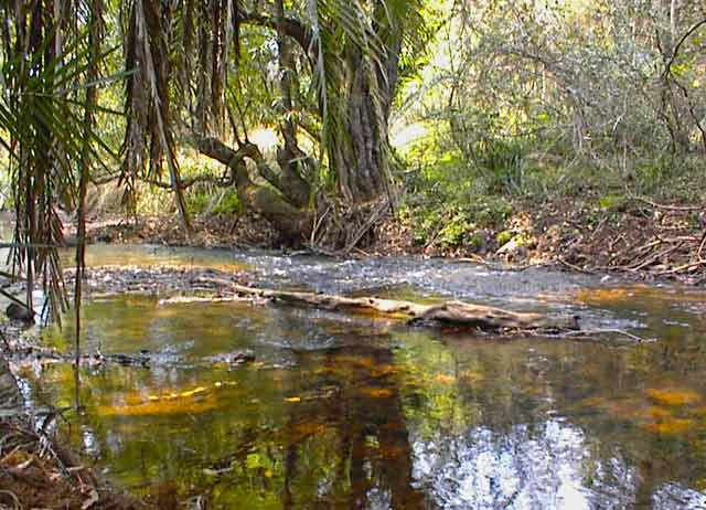 Gold panning stream in Barberton