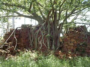 eureka city barberton view 3