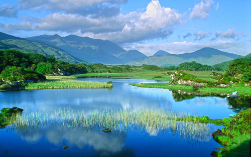 Queens River Barberon