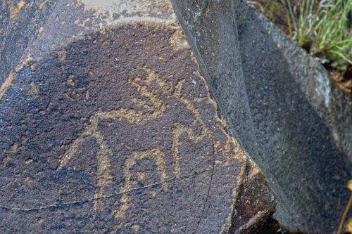 rock engraving of antelope