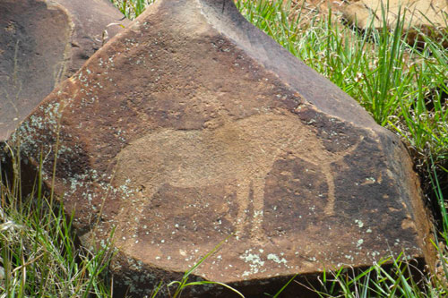 rock engraving of elephant