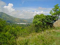 Creation of Barberton Page Link